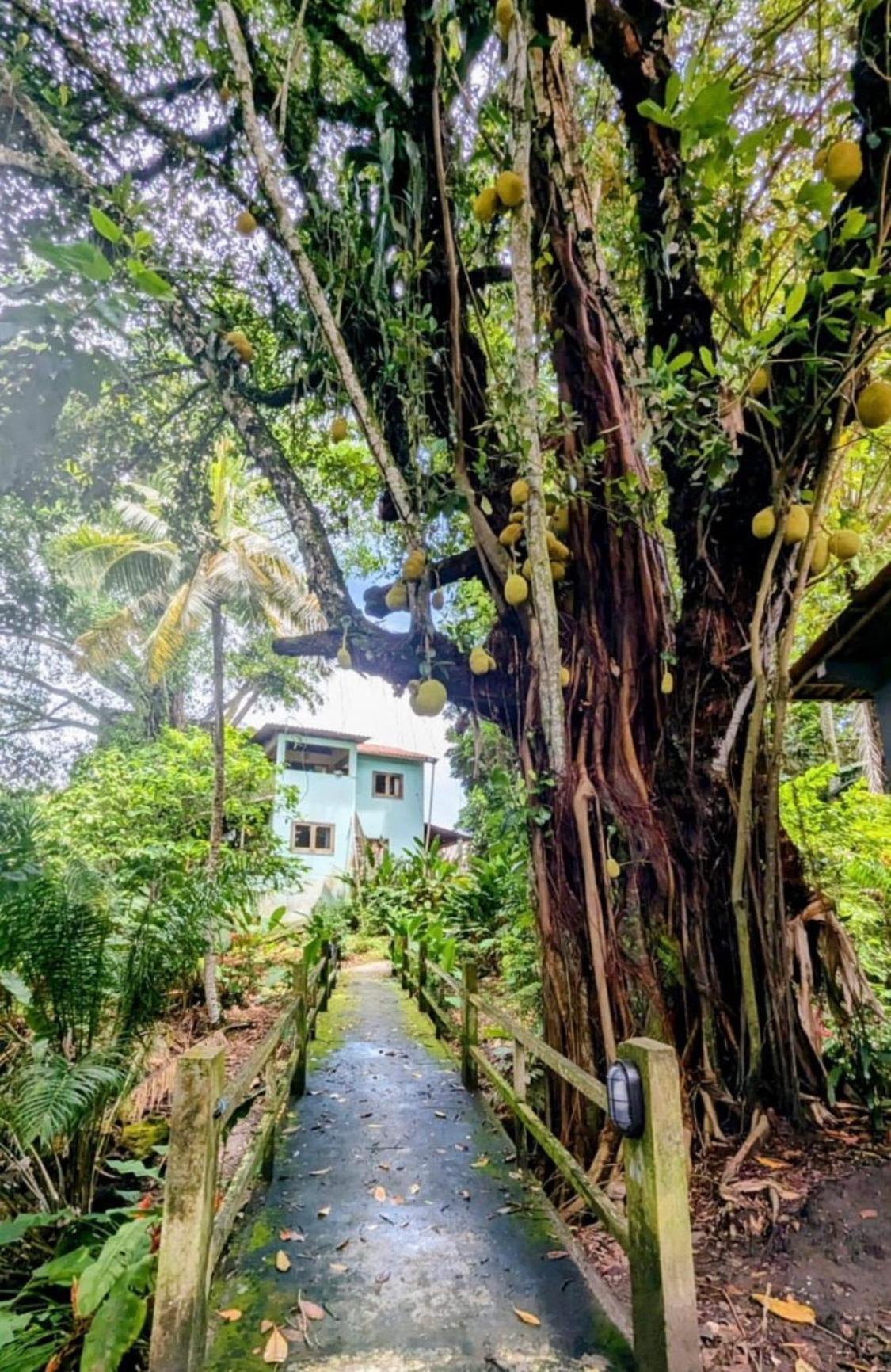 Alecrim Hostel E Pousada Velha Boipeba Eksteriør billede
